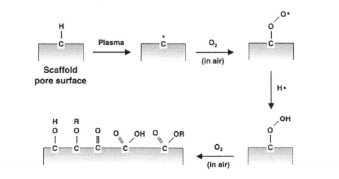 氧等離子體在與材料表面接觸時羥基化、羧基化的示意圖
