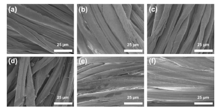 等離子體處理后棉織物的掃描電鏡圖