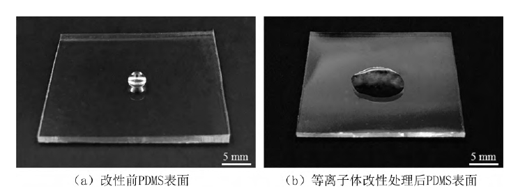 PDMS基片氧等離子處理前后水滴角對(duì)比