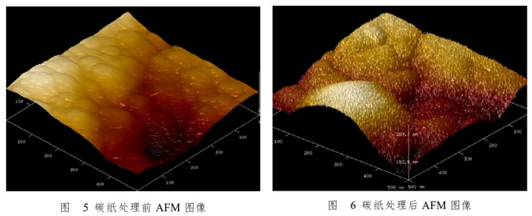 碳紙等離子體處理前后AFM圖像